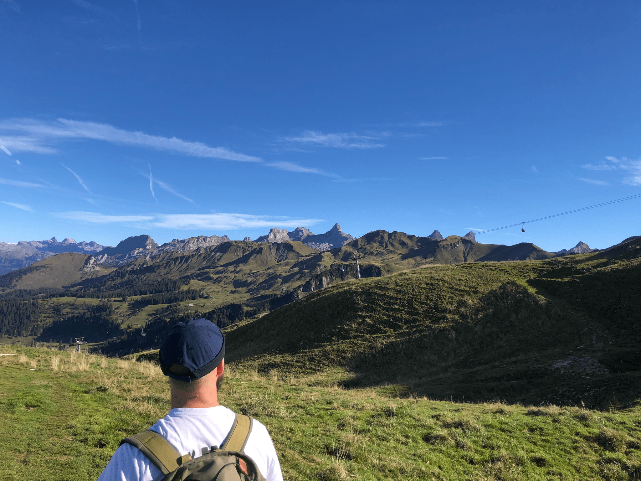 Background picture of the alps